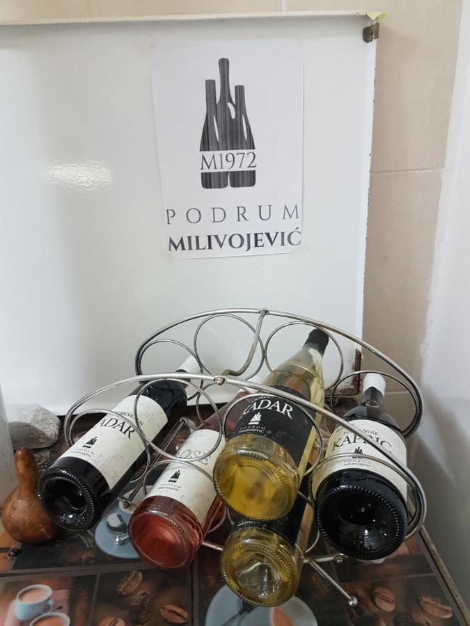 Przic House Διαμέρισμα Νεγκοτίν Εξωτερικό φωτογραφία