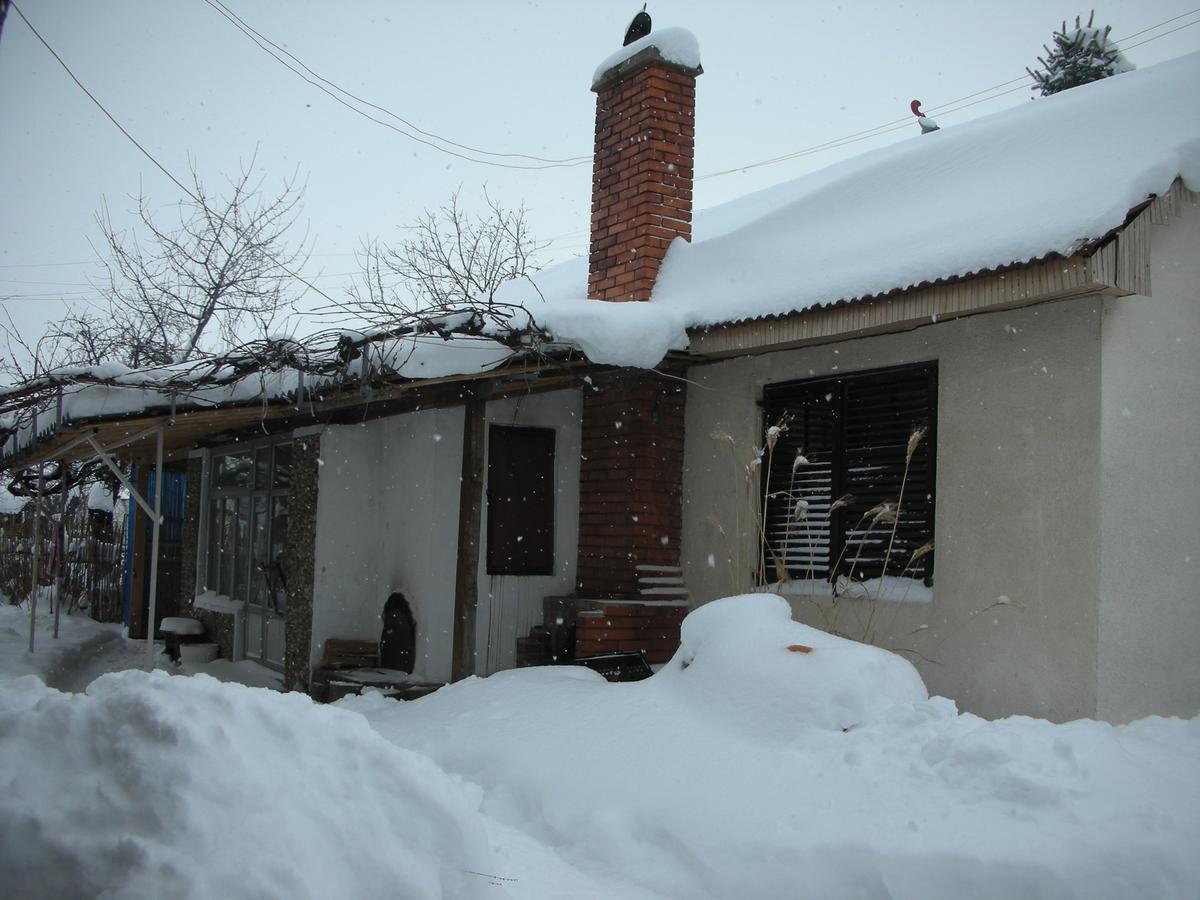Przic House Διαμέρισμα Νεγκοτίν Εξωτερικό φωτογραφία