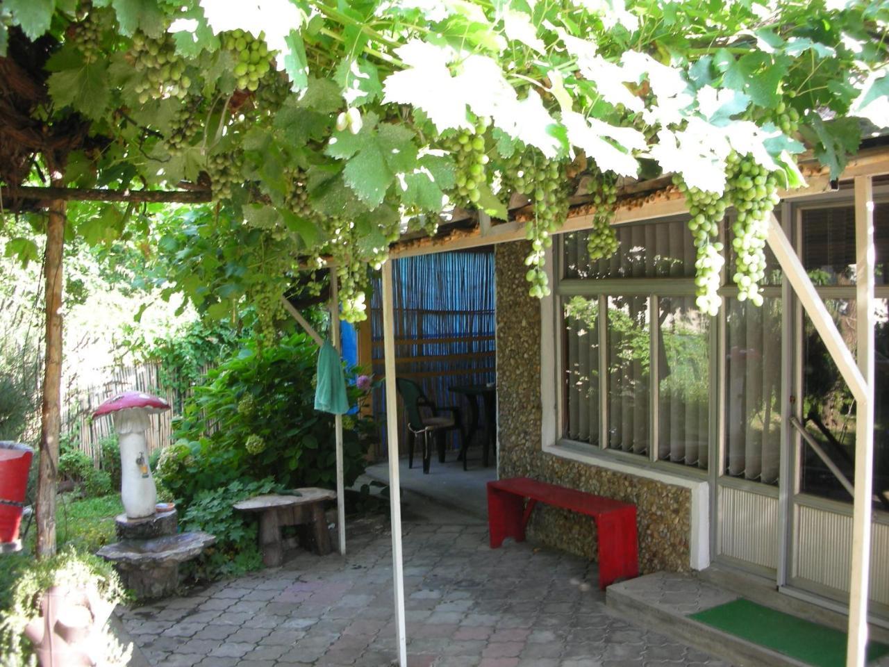 Przic House Διαμέρισμα Νεγκοτίν Εξωτερικό φωτογραφία